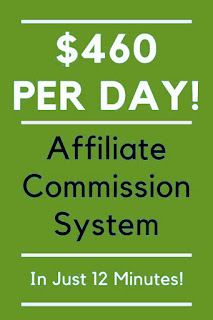 12 Minute Affiliate System Review