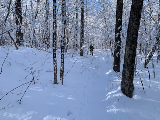Sentier de raquette dans le Parc de la Gatineau