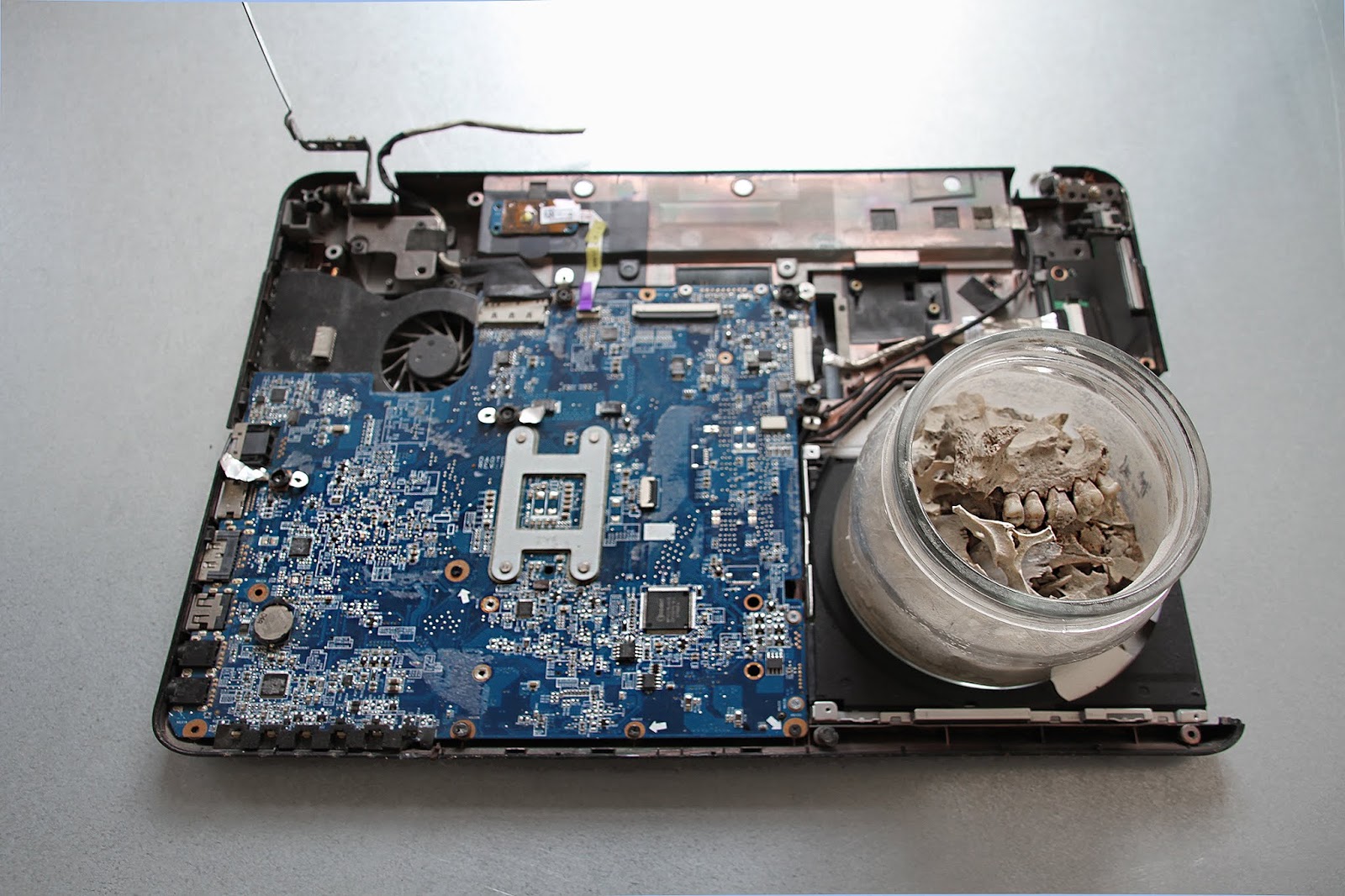 Kammermusikkammer Page 4 Chan 6301162 Rssing Com