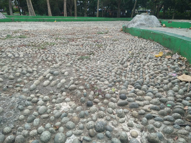 WhatsApp%2BImage%2B2020-01-02%2Bat%2B14.34.27 13 Hal yang Dapat Kamu Lakukan di Taman Merjosari Kota Malang