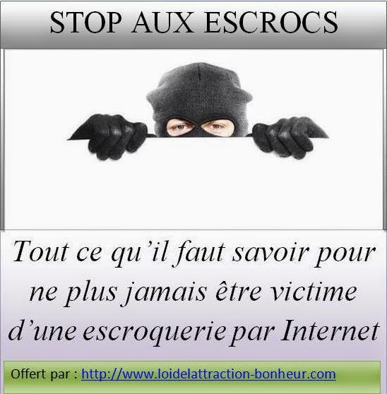 escroquerie par internet, arnaque par internet, vole par internet