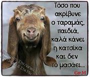 Αποκριάτικο χιούμορ