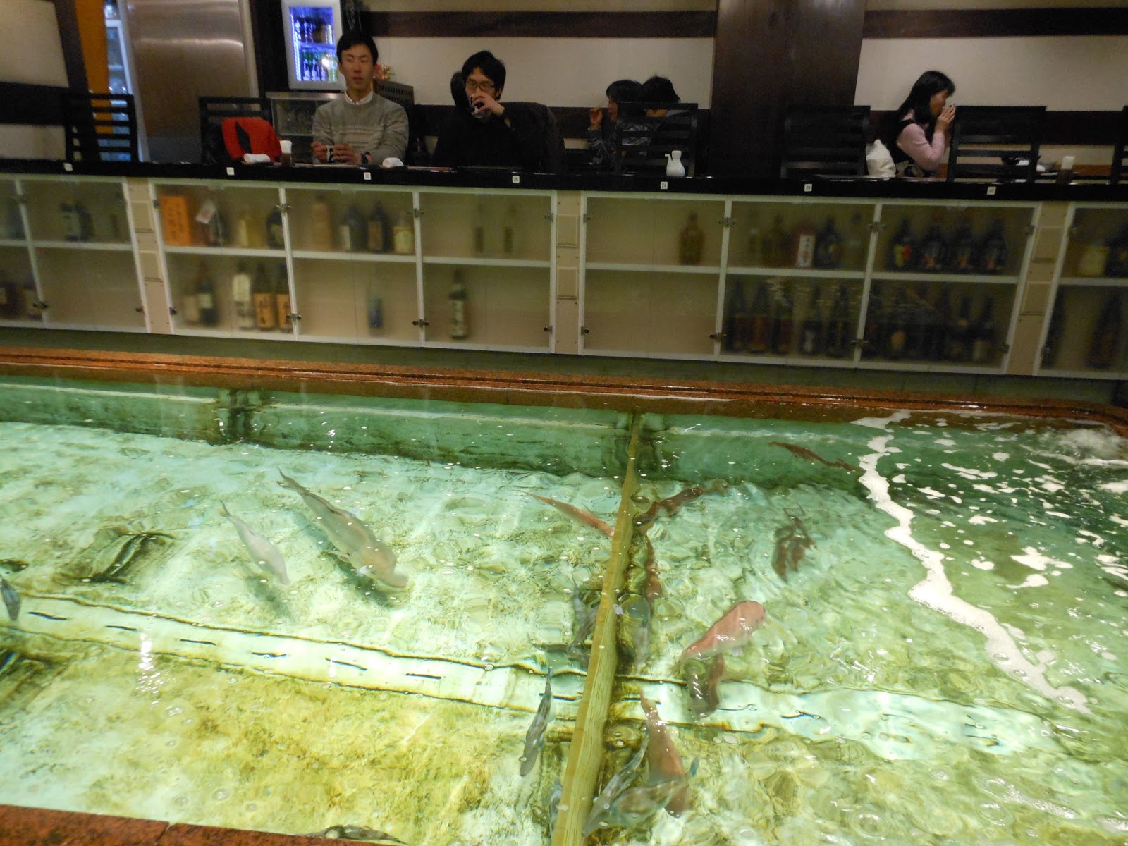 restaurant with koi pond