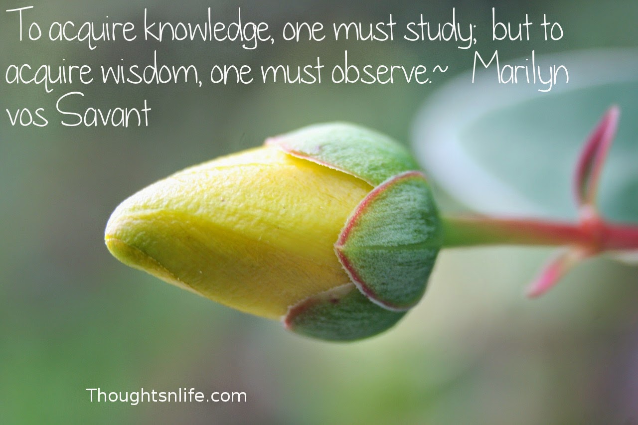 Thoughtsnlife.com: To acquire knowledge, one must study;  but to acquire wisdom, one must observe.  ~   Marilyn vos Savant