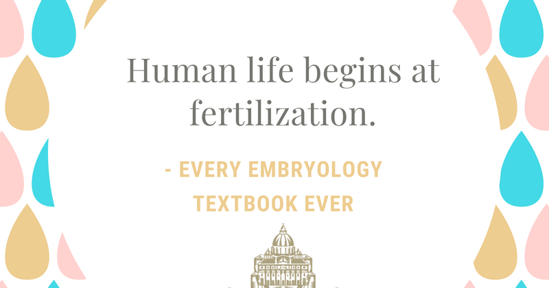 bible verse about life begins at conception bible verse about life begins at conception