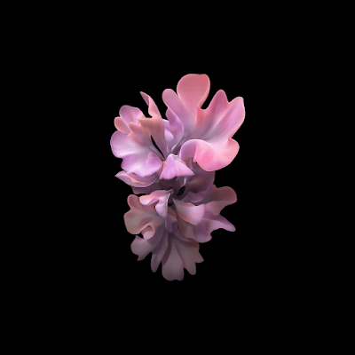 Samsung Galaxy Z Stock Wallpaper Samsung Galaxy Z Stock Wallpaper