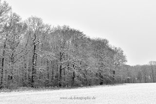 Naturfotografie Winterlandschaft Lippeaue Wildlifefotografie