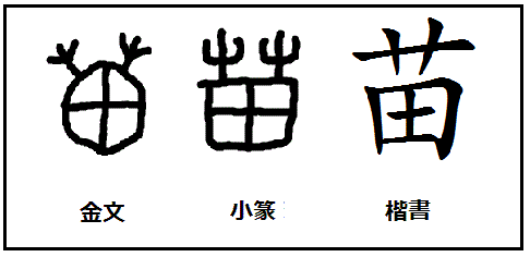 漢字の起源と成り立ち 甲骨文字の秘密 苗 漢字の起源と由来