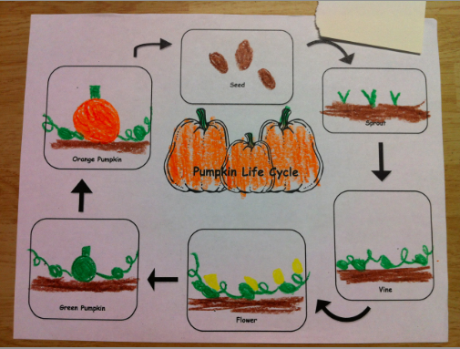 Kindergarten Kids At Play: Pumpkin Activities & Free pumpkin lifecycle