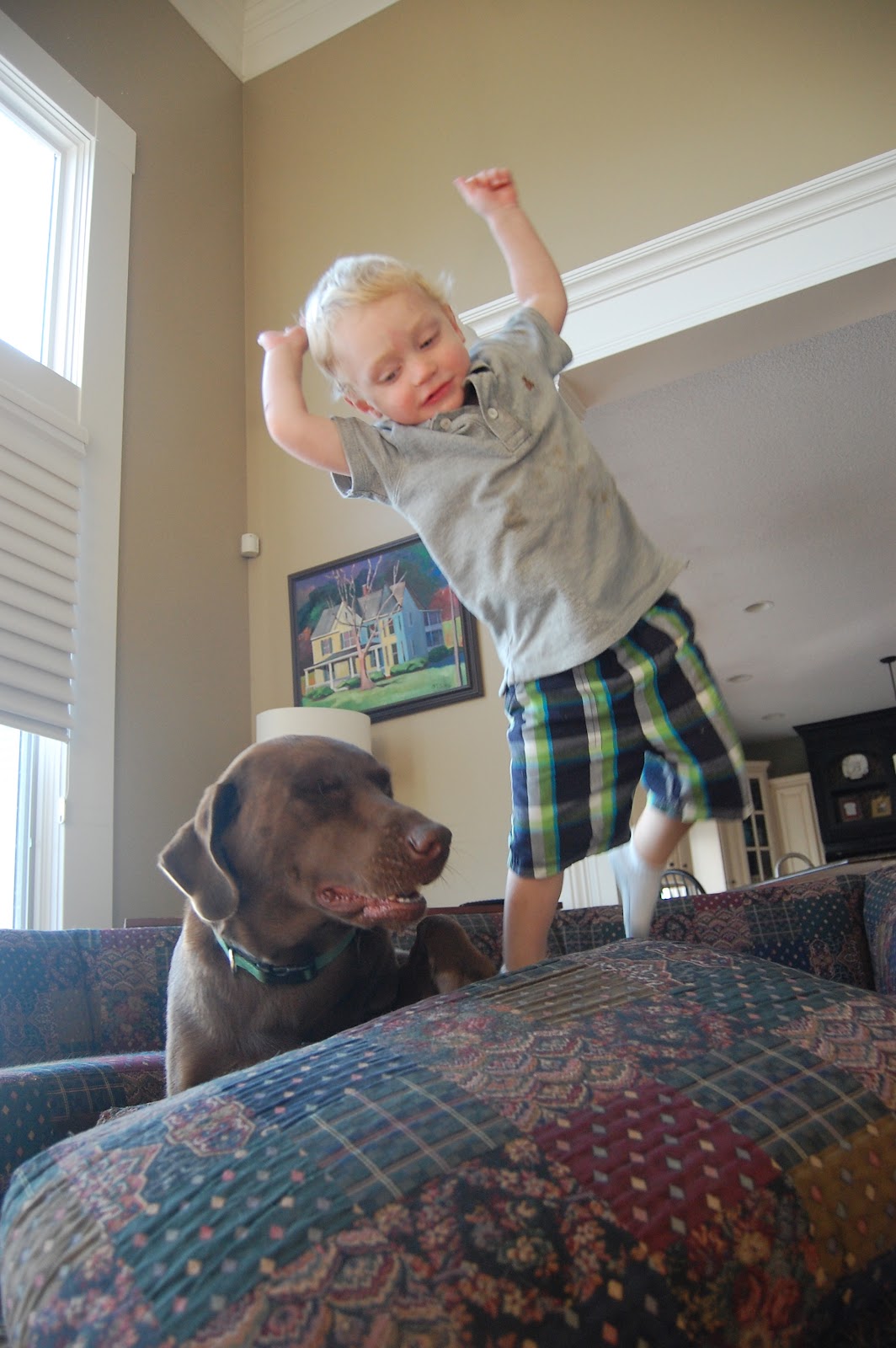 Our Becker Blog Couch Jumping
