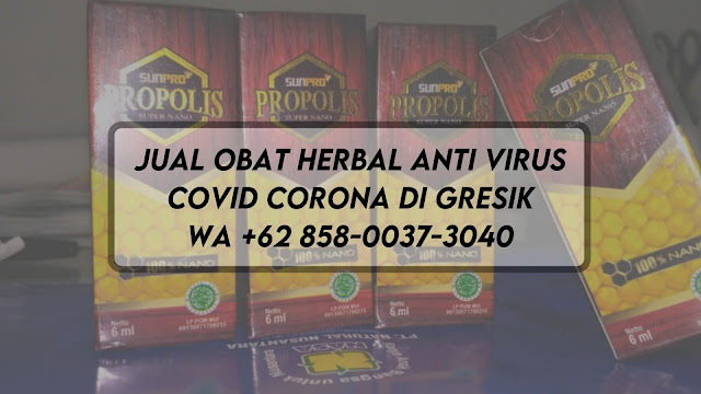 Jual Obat Herbal Anti Virus Covid Corona di Gresik