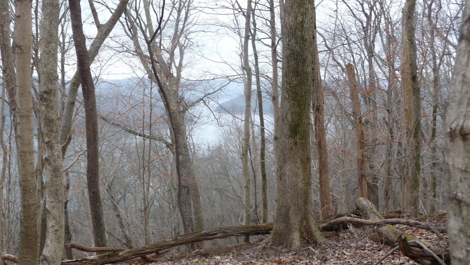 The Tennessee Traveler