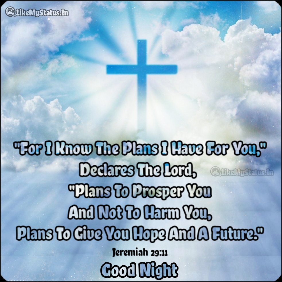 For I Know The Plans... Inspirational Bible Verse...