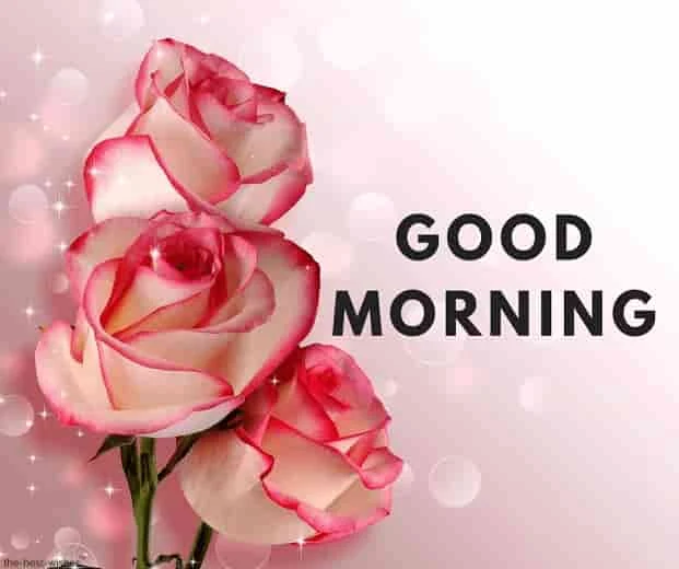 good morning awesome pic