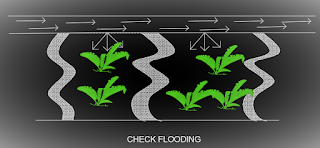 What is Irrigation I Best 5 Method of Irrigation System.