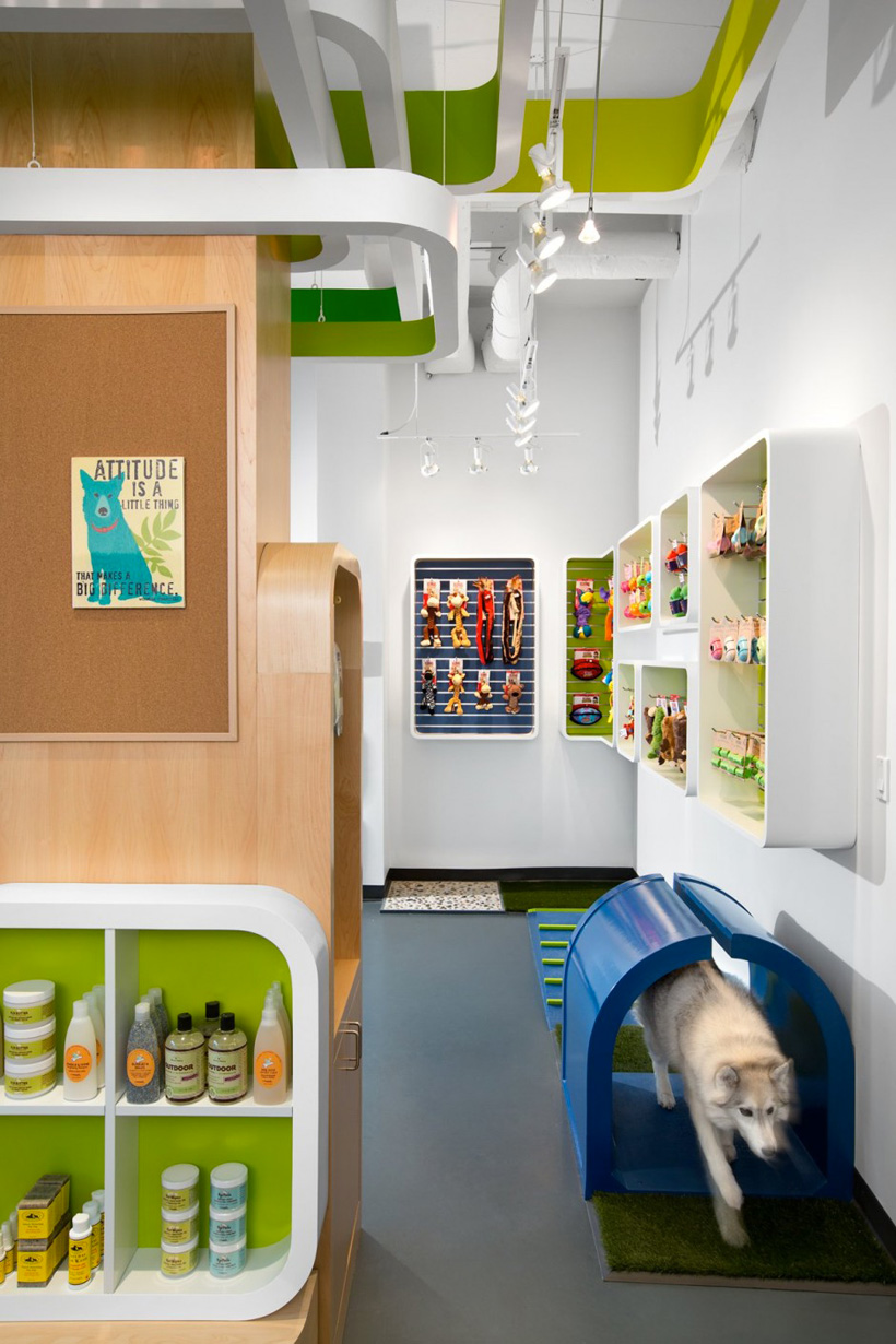Um Pet Shop em Vancouver Design Innova