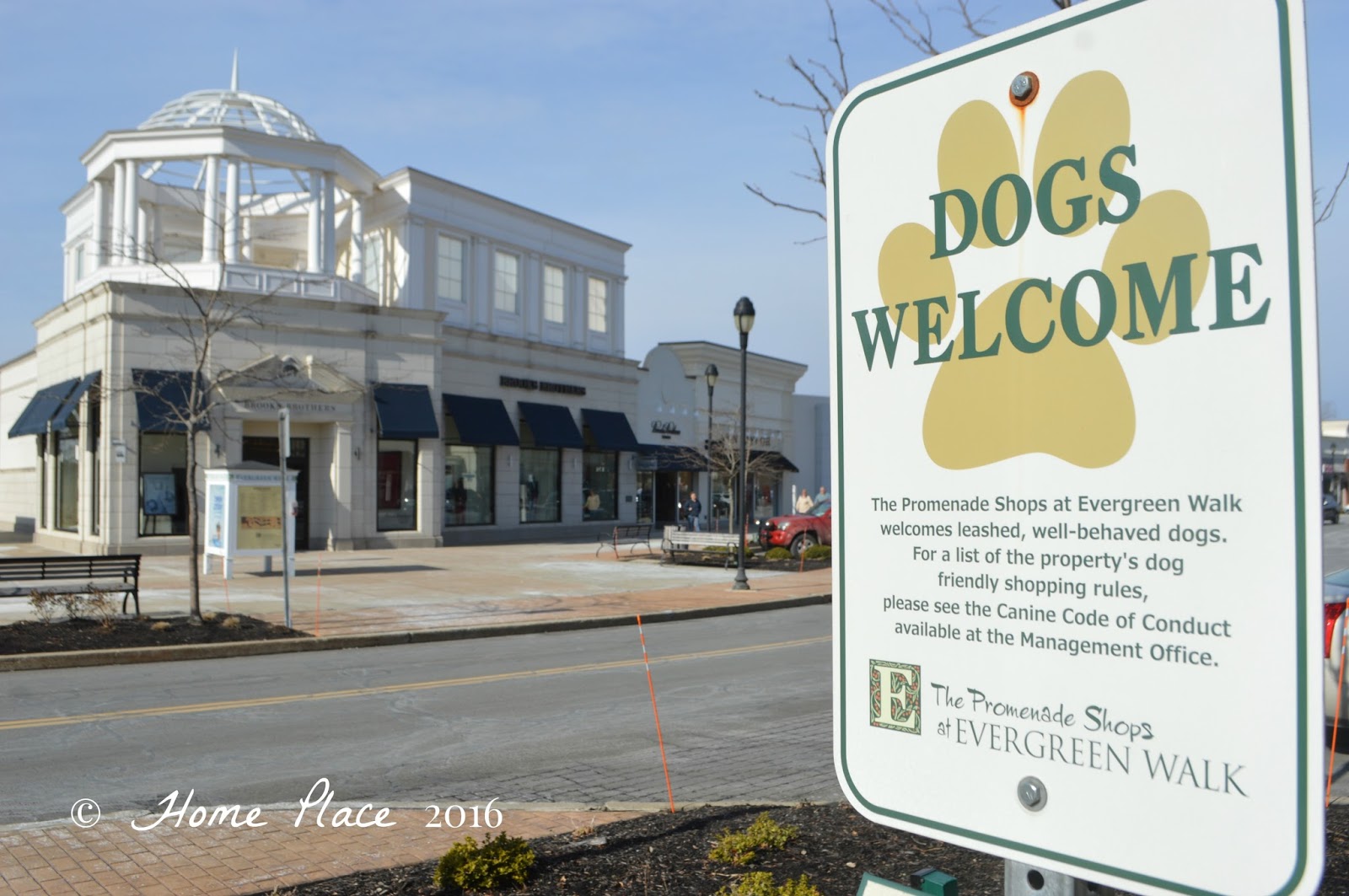 Home Place Shop and Nosh at the Promenade Shops at Evergreen Walk Part 2