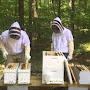 deux apiculteurs
