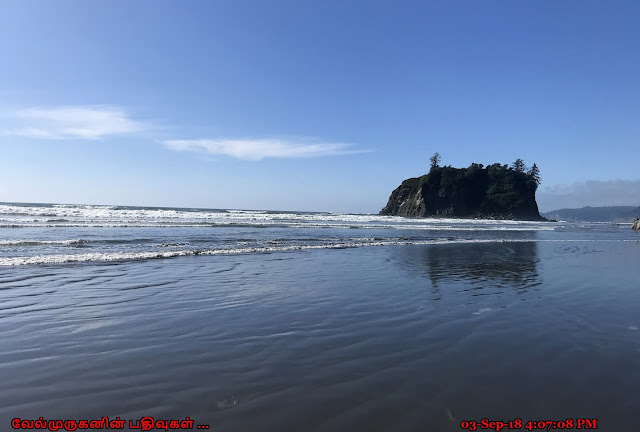 Olympic Peninsula Ruby Beach Kalaloch