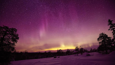 Wallpaper HD Trees Galaxy night in the forest Wallpaper HD Trees Galaxy night in the forest