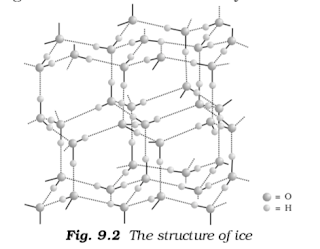 Structure of Ice