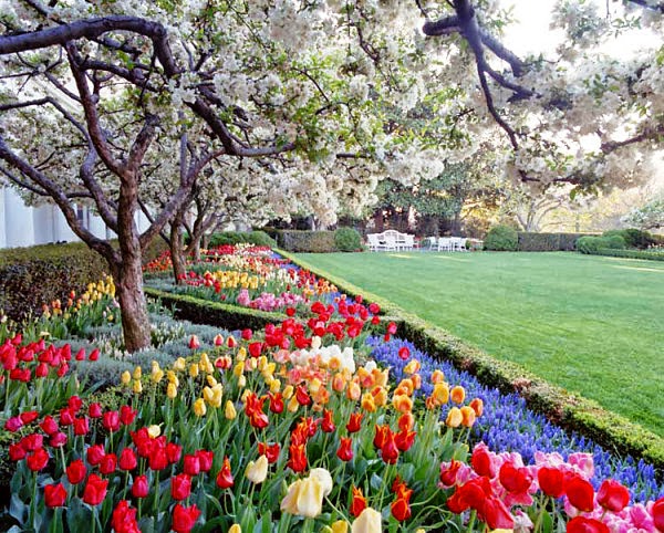 Issues in American Politics: Presidents and Gardens