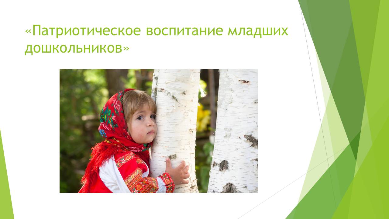 Дидактические игры патриотизм. Патриотический проект в доу. Ознакомление дошкольников с родным городом презентация. Дидактические игры по ознакомлению дошкольников с родным городом. Направления регионального компонента в доу.