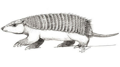 Chlamyphractus