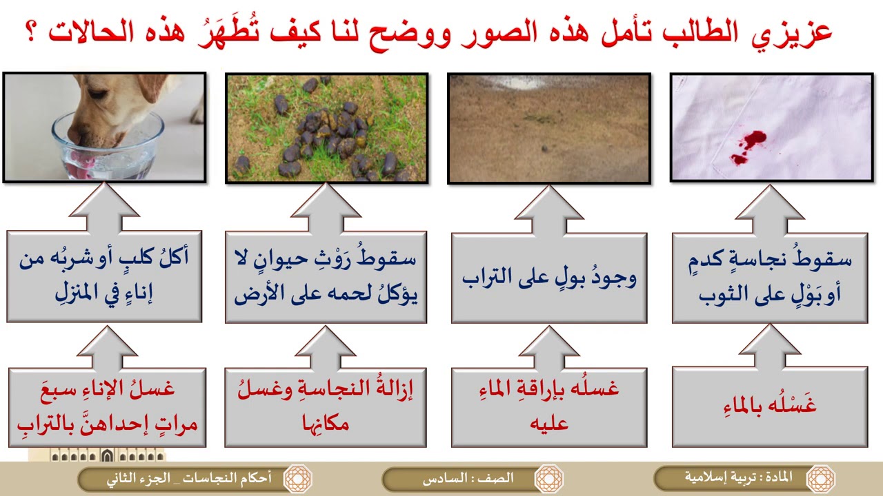 الفَصْلُ الثَّاني النَّجاسة وكيفية تطهيرها وحكم الغُسَالة الفقه الإسلامي  وأدلته للزحيلي