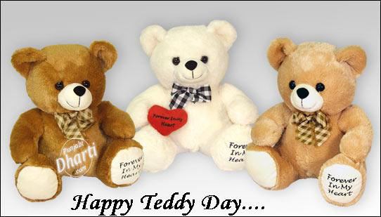 tomorrow is teddy day