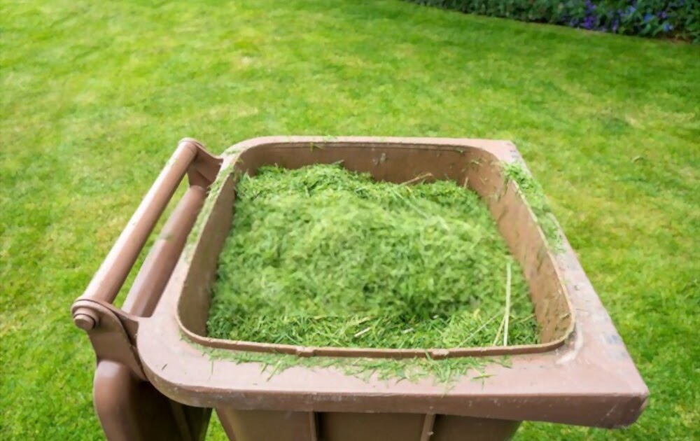 Where To Dump Grass Clippings?