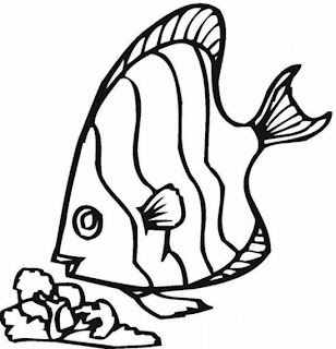 Desenhos Para Pintar Peixe Fino