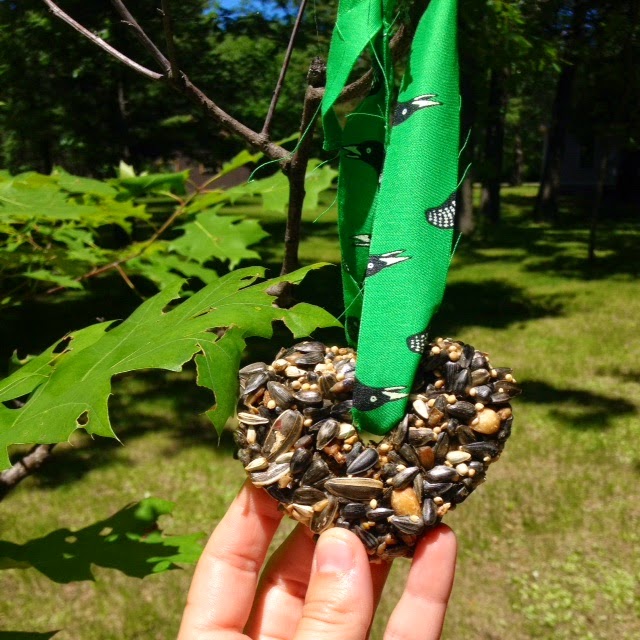 a year of minnesota nice day 222 feed the birds! {homemade bird feeders}