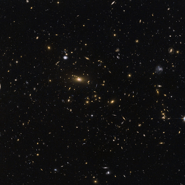 Galaxy Cluster MACSJ1423.8+2404: a Dark Matter Laboratory?