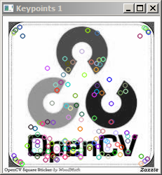 OpenCV SURF Feature Extraction Output