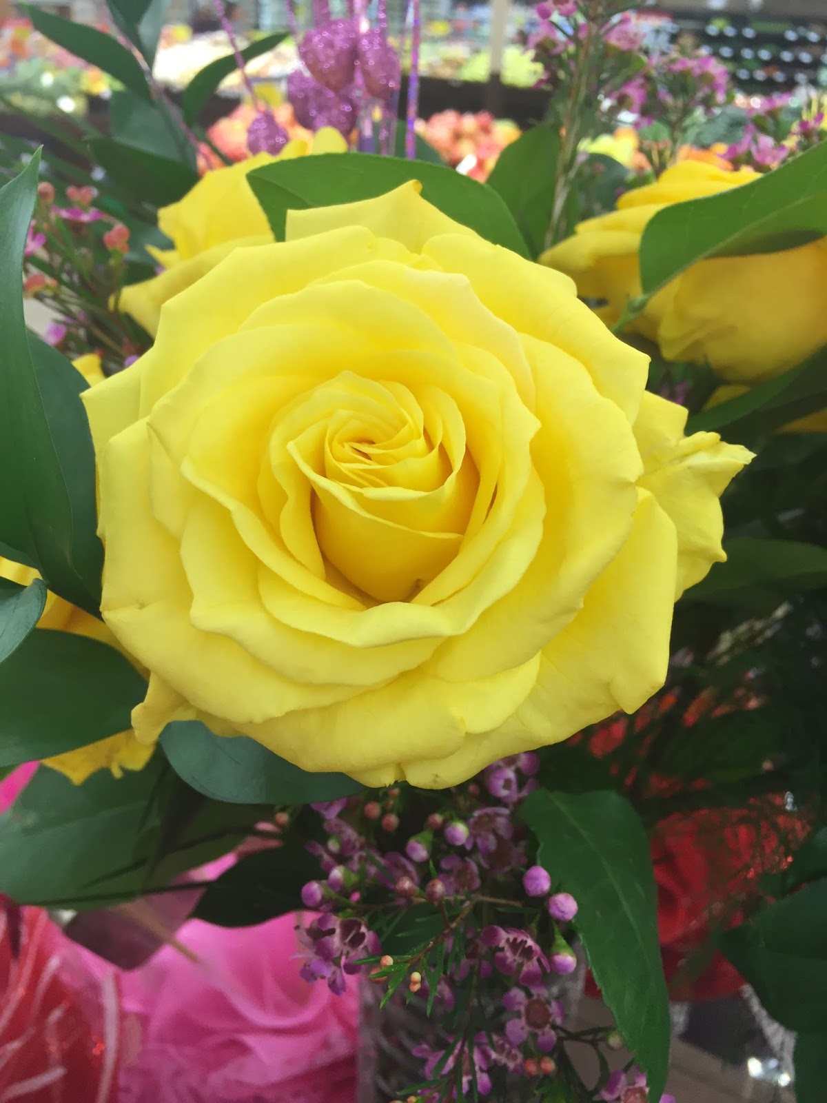 The Twins A beautiful flower for a beautiful LADY.