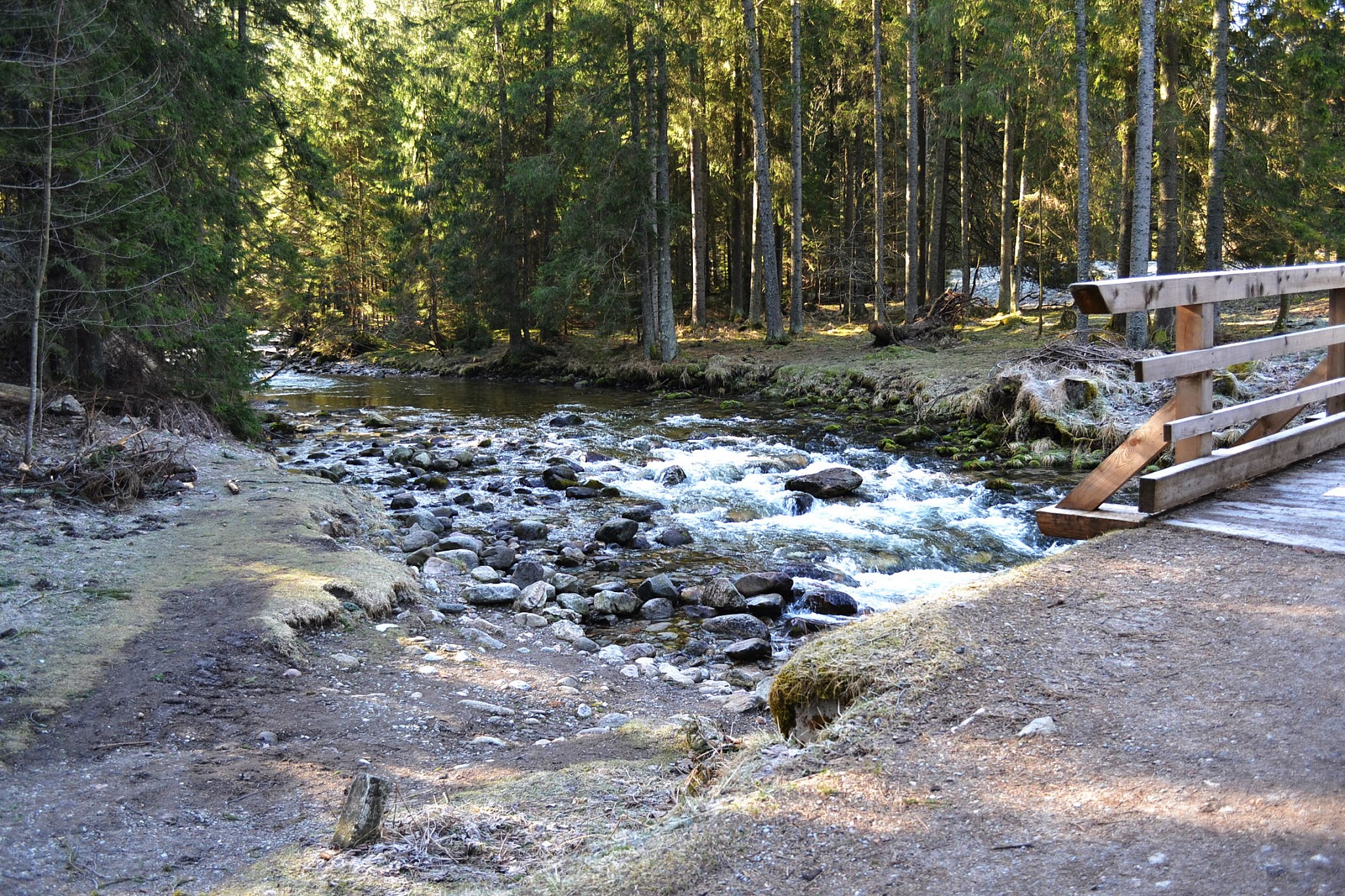 DOLINA KOŚCIELISKA 2018