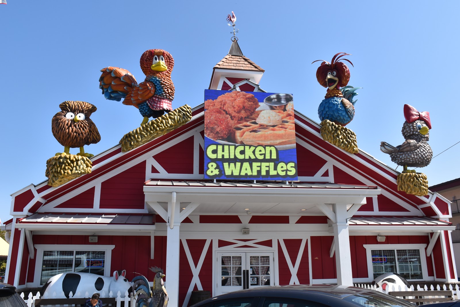 Video: Pigeon Forge's Best and Most Family-Friendly Restaurant: Frizzle