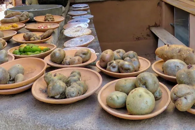 Peru Food Fact #9: Peru boasts 3000 kinds of potatoes