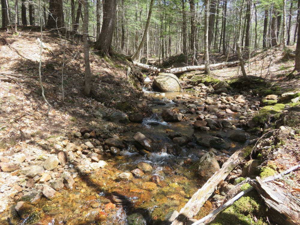 Outdoor Diversion Hall's Ledge Trail and Hutmen's Trail Loop Hike
