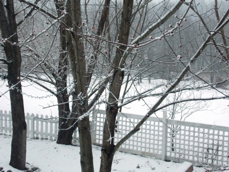 SWAC Girl Late winter snow in Augusta County