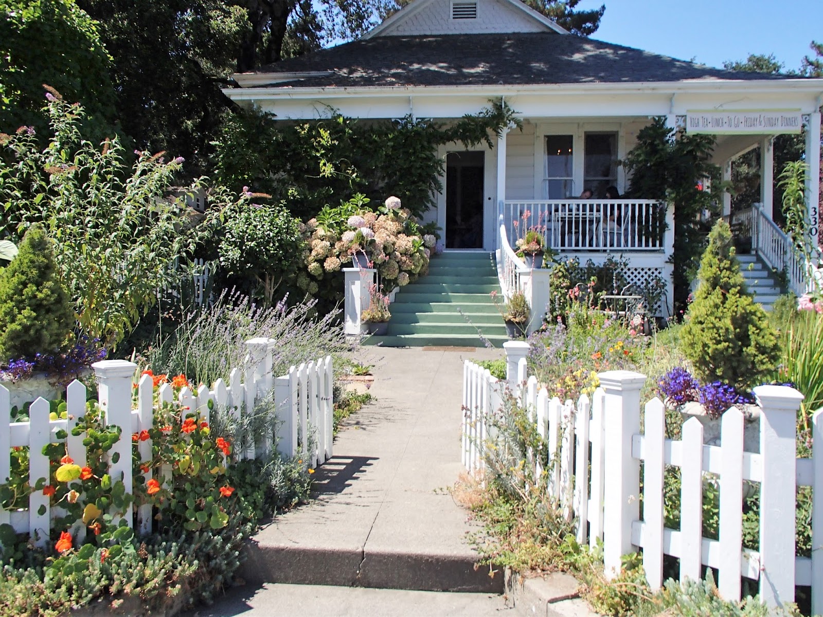 Silver Cat Tea Party Summertime Tea at Muir's Tea Room