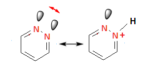 Welcome to Chem Zipper.com......: What is correct basicity order of ...
