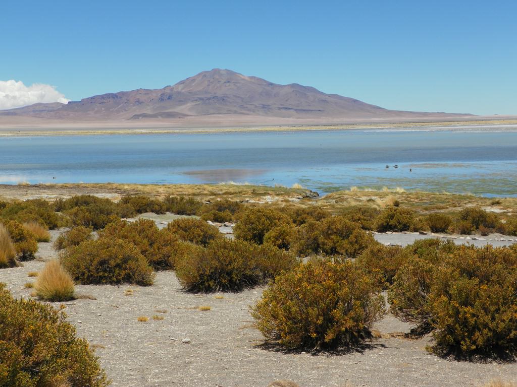 O que fazer no Atacama Salar de Tara O que fazer no Atacama Salar de Tara
