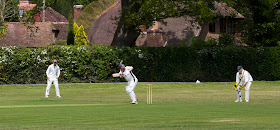 Cricket on Leigh village green, 19 May 2012.