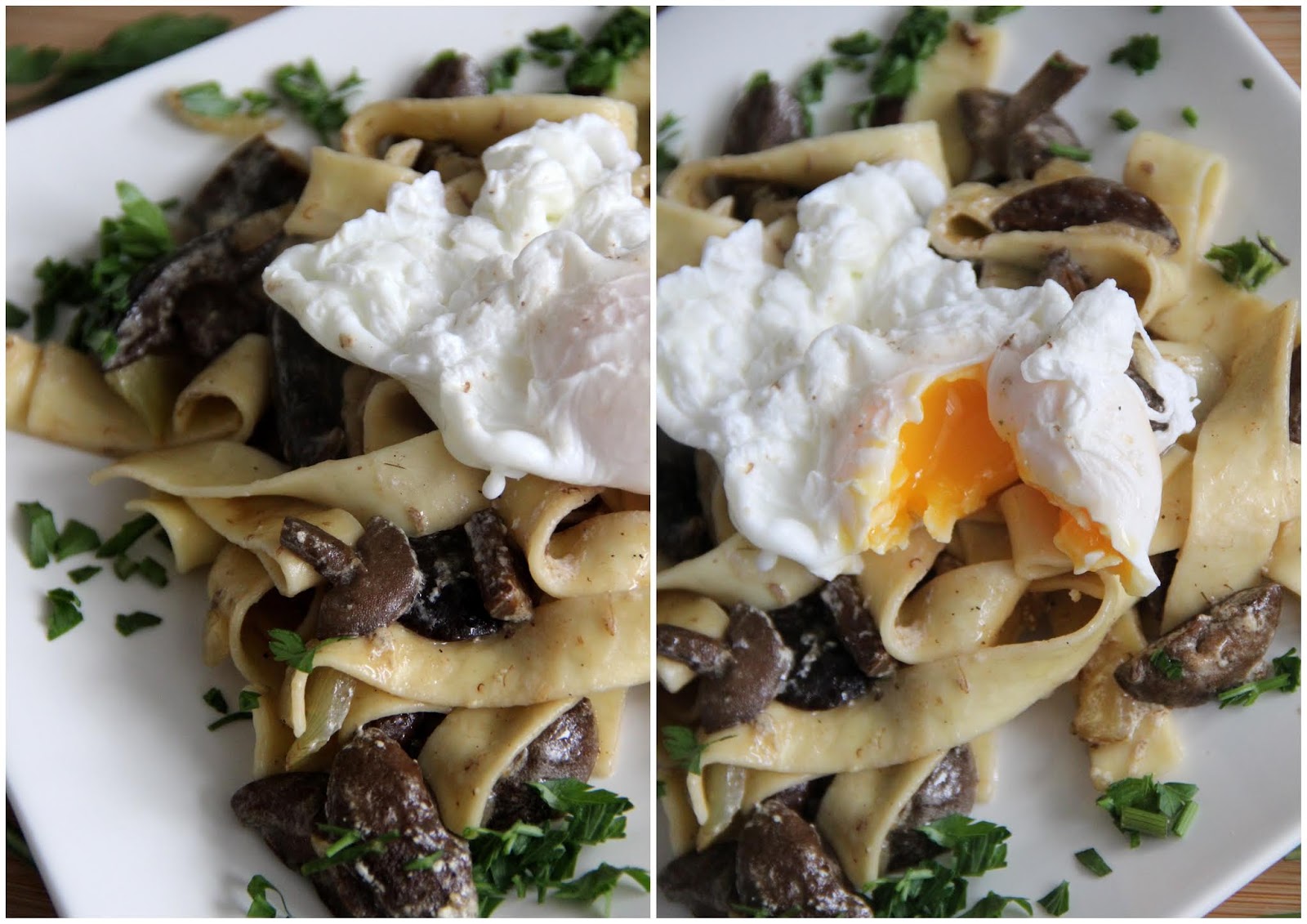 Makaron pappardelle podany z grzybami leśnymi i