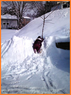 Child in snowsuit and coat, clinging to a small tree while atop a snowdrift beside the shoveled driveway