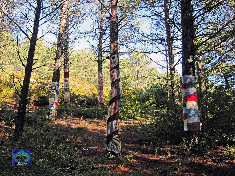 ZáLeZ "El bosque encantado" dentro de la ruta de los Duendes. Herrera