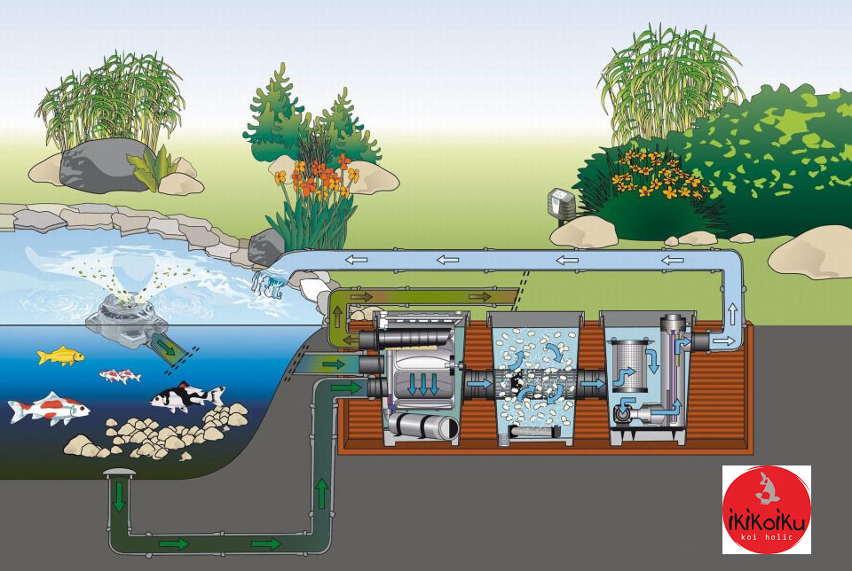 JENIS FILTER / FILTRASI KOLAM KOI IKIKOIKU