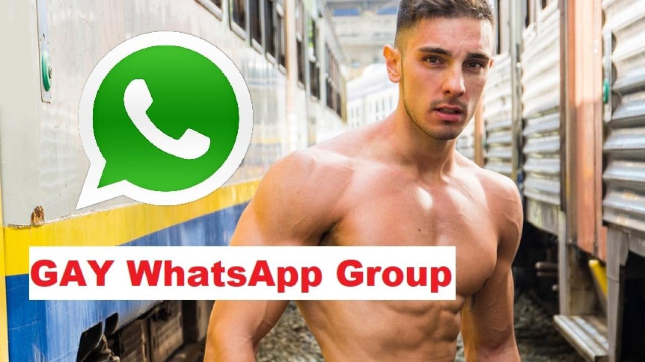 Gay WhatsApp Group Links
